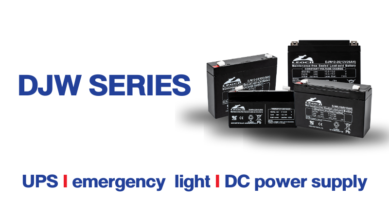 Leoch DJW Series Battery UPS Emergency light DC Power Supply